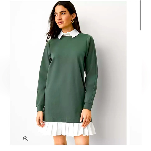 Petite Sweatshirt Mini Dress L Petite